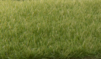 Scenari del bosco, ERBA STATICA VERDE MEDIO 4 MM